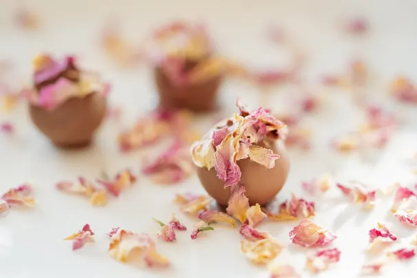 1GoodBet Casino Application Android/iOS